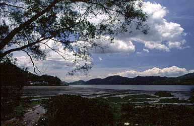 Plover Cove, New Territories, Jacek Piwowarczyk 2003