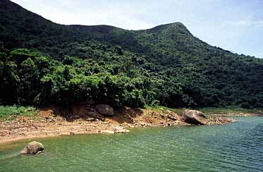 Plover Cove, New Territories, Jacek Piwowarczyk 2003