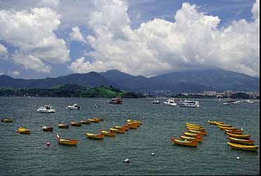 TOLO HARBOUR 2003 