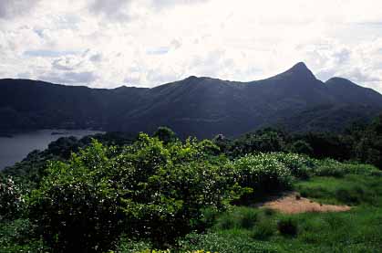 Clear Water Bay, New Territories, Hong Kong, China, Jacek Piwowarczyk 2003