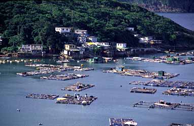 Clear Water Bay, New Territories, Hong Kong, China, Jacek Piwowarczyk 2003