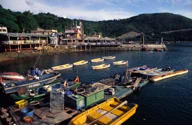Clear Water Bay, New Territories, Hong Kong, China, Jacek Piwowarczyk 2003