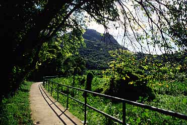Lamma Island, Hong Kong, China, Jacek Piwowarczyk, 2003