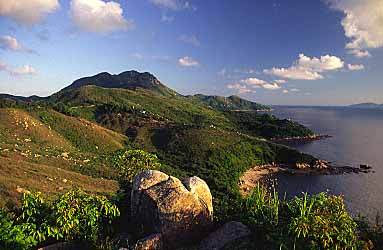 LAMMA ISLAND 2003 