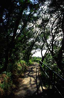 Cheung Chau Island, Hong Kong, China, Jacek Piwowarczyk, 2003