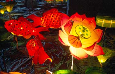 Hong Kong, China, Jacek Piwowarczyk 2003