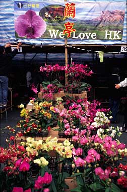 Victoria Park, Hong Kong, China, Jacek Piwowarczyk, 2004