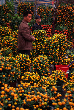 Victoria Park, Hong Kong, China, Jacek Piwowarczyk, 2004