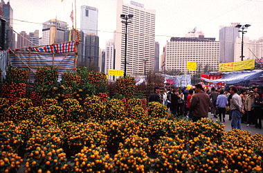 Victoria Park, Hong Kong, China, Jacek Piwowarczyk, 2004