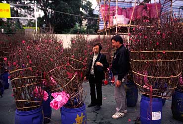 Victoria Park, Hong Kong, China, Jacek Piwowarczyk, 2004