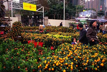 Victoria Park, Hong Kong, China, Jacek Piwowarczyk, 2004