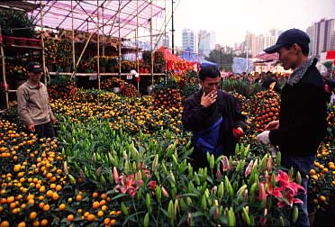 VICTORIA PARK FLOWER MARKET 2004