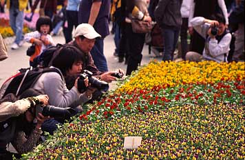 Victoria Park, Hong Kong, China, Jacek Piwowarczyk, 2004