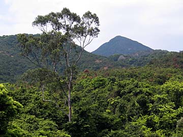 Tai Tam Country Park, Hong Kong Island, Hong Kong, China, Jacek Piwowarczyk, 2004