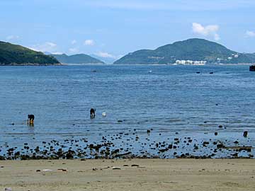 Mui Wo, Lantau Island, Hong Kong, China, Jacek Piwowarczyk, 2004