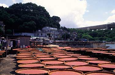 Park Island, Hong Kong, China, Jacek Piwowarczyk 2004