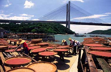 Park Island, Hong Kong, China, Jacek Piwowarczyk 2004