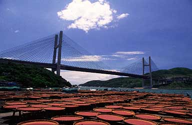 Park Island, Hong Kong, China, Jacek Piwowarczyk 2004