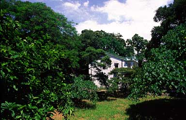 Park Island, Hong Kong, China, Jacek Piwowarczyk 2004