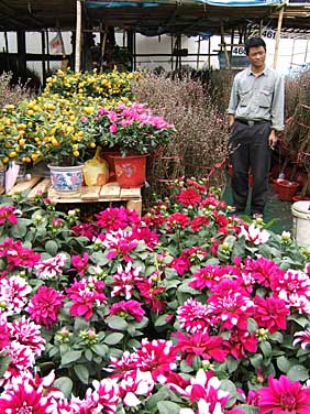 Victoria Park, Hong Kong, China, Jacek Piwowarczyk 2005