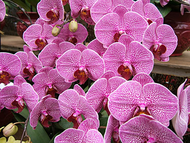 Victoria Park, Hong Kong, China, Jacek Piwowarczyk 2005