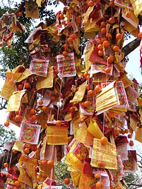 Lam Tsuen, Hong Kong, China, Jacek Piwowarczyk 2005