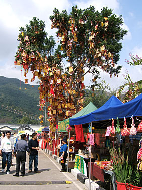 Lam Tsuen, Hong Kong, China, Jacek Piwowarczyk 2005