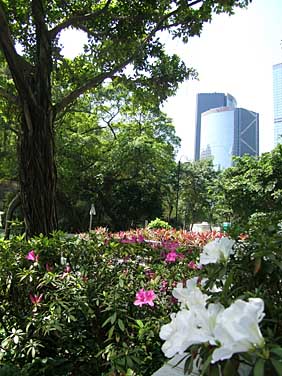 Hong Kong Island, Hong Kong, China, Jacek Piwowarcyk 2005