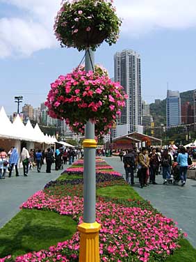Hong Kong, China, Jacek Piwowarczyk, 2005