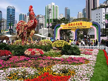 Hong Kong, China, Jacek Piwowarczyk, 2005