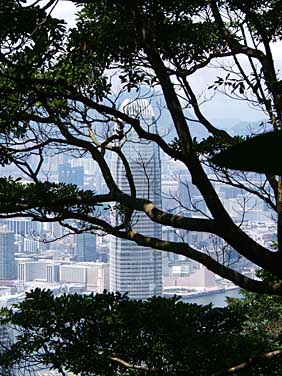 Victoria Peak, Hong Kong, Chin, Jacekl Piwowarczyk, 2005