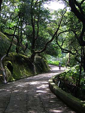 Hong Kong Island, Chin, Jacekl Piwowarczyk, 2005