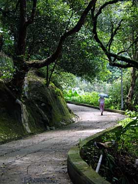 Hong Kong Island, Chin, Jacekl Piwowarczyk, 2005