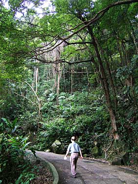 Hong Kong Island, Chin, Jacekl Piwowarczyk, 2005