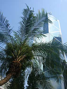 Hong Kong Island, Chin, Jacekl Piwowarczyk, 2005