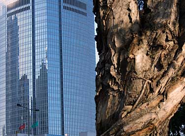 Hong Kong Island, Hong Kong, China, Jacek Piwowarcyk 2005