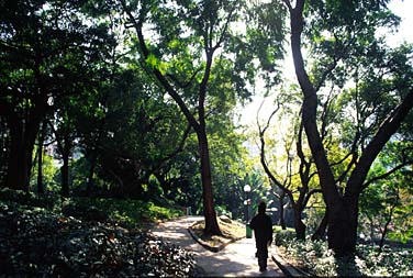 Kowloon Park, Kowloon, Hong Kong, China, Jacek Piwowarczyk, 2005