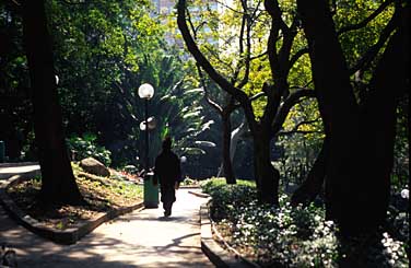 Kowloon Park, Kowloon, Hong Kong, China, Jacek Piwowarczyk, 2005