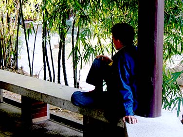 Kowloon Park, Kowloon, Hong Kong, China, Jacek Piwowarczyk, 2005