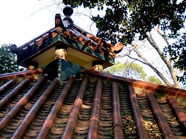Kowloon Park, Kowloon, Hong Kong, China, Jacek Piwowarczyk, 2005