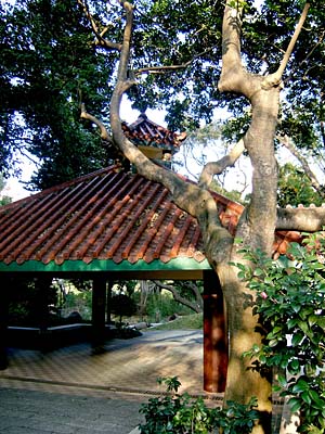 Kowloon Park, Kowloon, Hong Kong, China, Jacek Piwowarczyk, 2005