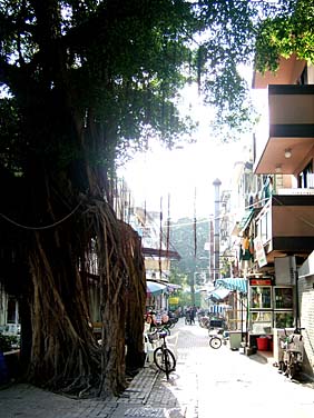 Mui Wo, Lantau island, Hong Kong, China, Jacek Piwowarczyk, 2006
