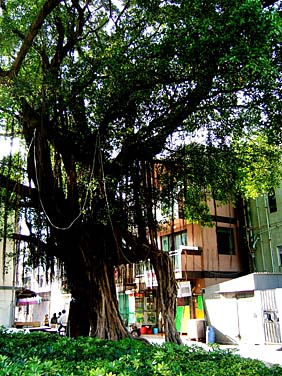 Mui Wo, Lantau island, Hong Kong, China, Jacek Piwowarczyk, 2006