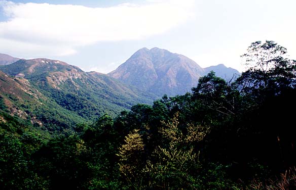 Lantau Island, Hong Kong, China, Jacek Piwowarczyk, 2006
