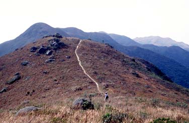 Lantau Island, Hong Kong, China, Jacek Piwowarczyk, 2006