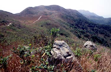 Lantau Island, Hong Kong, China, Jacek Piwowarczyk, 2006