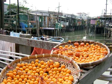 TAI O VILLAGE 2006