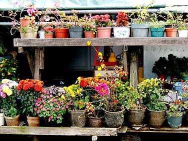 Tai O, Lantau, Hong Kong, China, Jacek Piwowarczyk, 2006