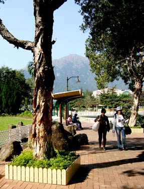 Mui Wo, Lantau Island, Hong Kong, China, Jacek Piwowarczyk 2006