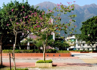 Mui Wo, Lantau Island, Hong Kong, China, Jacek Piwowarczyk 2006